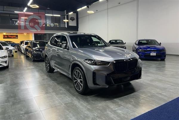 BMW X5 2024 for sale in Iraq - Erbil